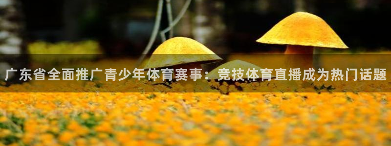 nba免费直播极速体育：广东省全面推广青少年体育赛事：竞技体育直播成为热门话题
