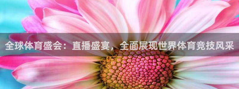 极速体育 直播吧：全球体育盛会：直播盛宴，全面展现世界体育竞技风采