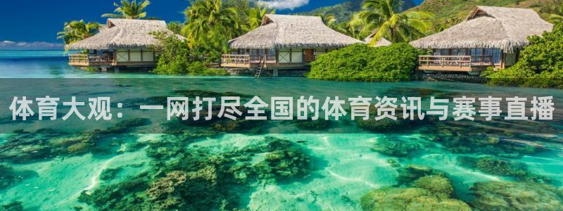 nba体育极速直播：体育大观：一网打尽全国的体育资讯与赛事直播