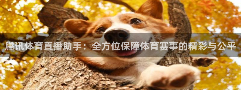 nba直播吧极速体育高清：腾讯体育直播助手：全方位保障体育赛事的精彩与公平