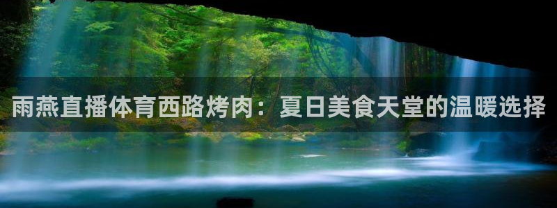 极速体育极速体育直播nba：雨燕直播体育西路烤肉：夏日美食天堂的温暖选择