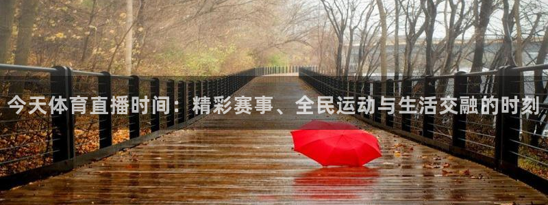 极速体育吧篮球直播：今天体育直播时间：精彩赛事、全民运动与生活交融的时刻