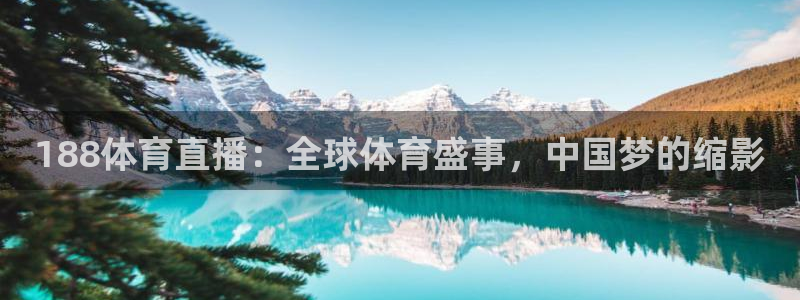 体育极速直播：188体育直播：全球体育盛事，中国梦的缩影