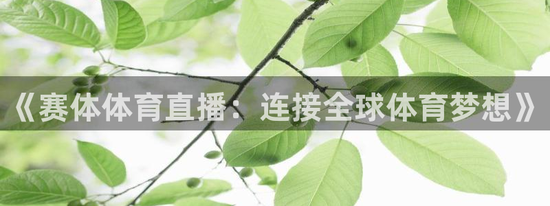 nba体育直播极速：《赛体体育直播：连接全球体育梦想》